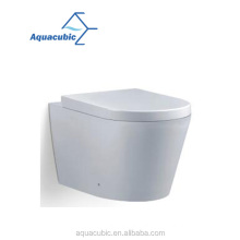 Back to wall bathroom one piece concealed tank wc toilet (ACT5257B)